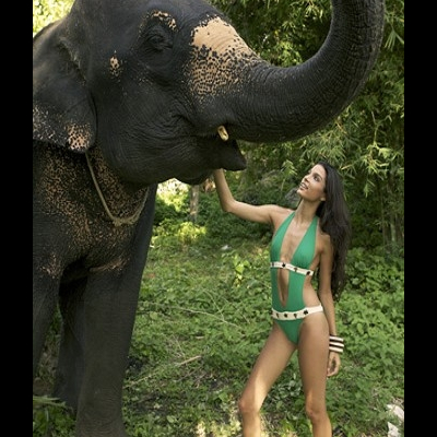diNeila