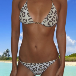 Elizabeth Hurley beach купальный костюм весна лето 2010 - 18121