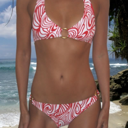 Elizabeth Hurley beach купальный костюм весна лето 2010 - 18123